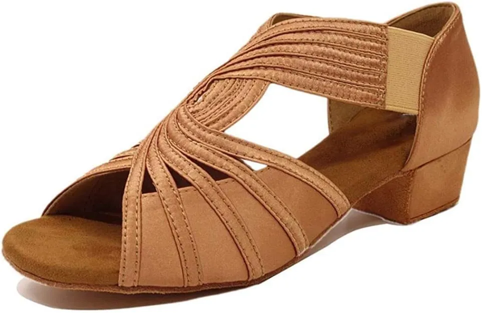 HIPPOSEUS Women Low Heel Latin Ballroom Dance Shoes Indoor Salsa Batchata Practice Dancing Shoes