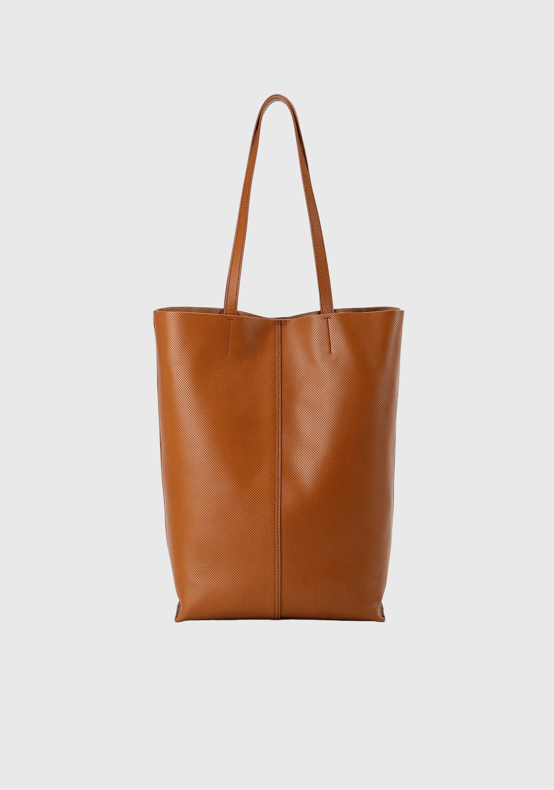 Portrait Stand Tote Bag_Tan